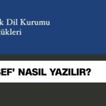 Üzgün bir başlık: "Maalesef TDK yazılışı… Maalesef nasıl yazılır, 'malesef' mi, 'maalesef' mi?"Yaratıcı bir başlık: "Üzülerek belirtmeliyim ki, TDK'ya göre 'maalesef' nasıl yazılır? 'Malesef' mi, yoksa 'maalesef' mi?"