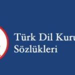 "TDK'ya göre 'Hoşgeldin' nasıl yazılır: Birleşik mi, ayrı mı?" başlıklı sorunun yanıtı aranıyor.